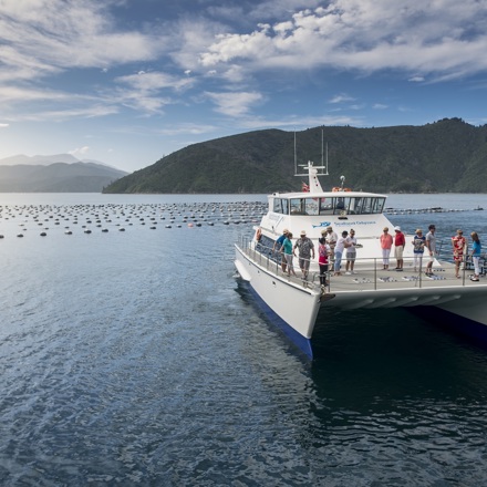 MV Odyssea is a large catamaran, ideal for a variety of cruises for groups, corporate and private events in New Zealand's Marlborough Sounds.