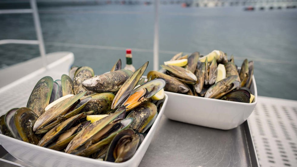 Freshly steamed Greenshell mussels, at the source in the Marlborough Sounds, at the top of New Zealand's South Island