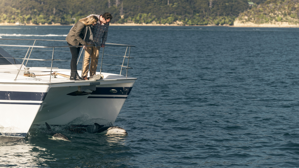 Couple on bow of boat look down at two dolphins swimming under the boat, in the Marlborough Sounds at the top of New Zealand's South Island