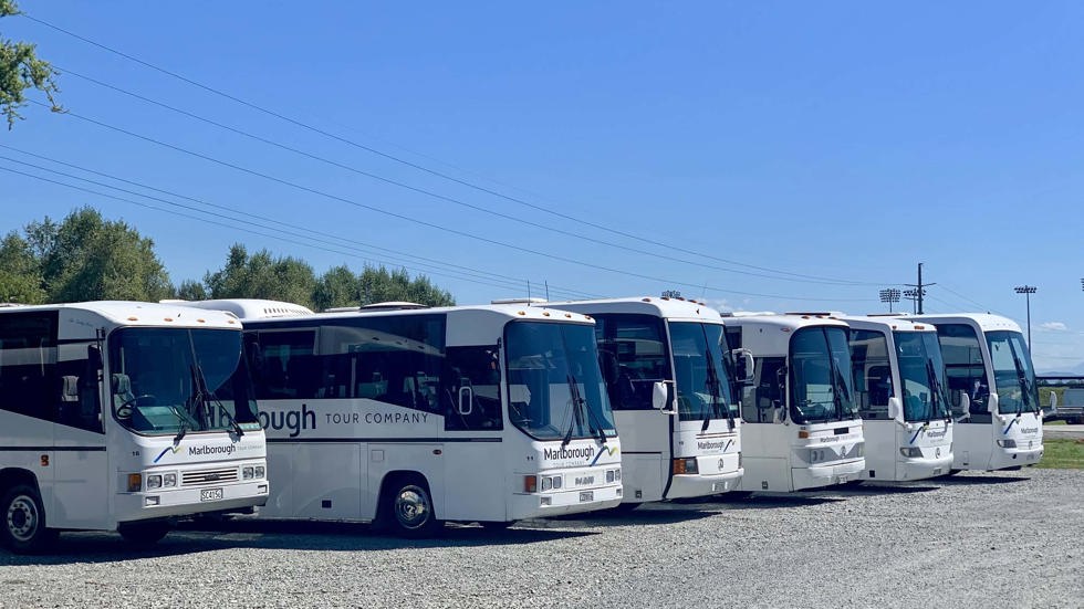 Marlborough Tour Co buses lined up ready to head out on charter and group tours in Marlborough, top of New Zealand's South Island. 