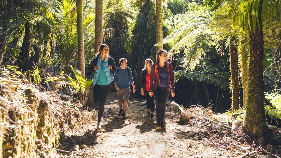 Four people walk on the northern Queen Charlotte Track in the Marlborough Sounds, New Zealand.