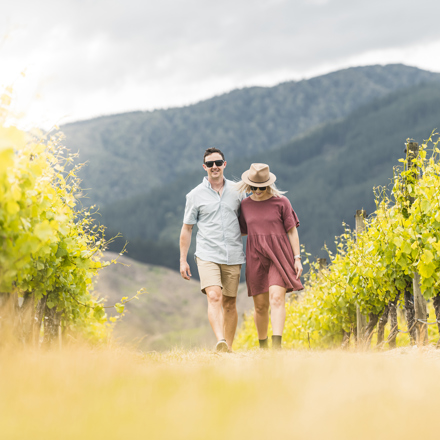 Couple arm in arm walking in a vineyard between rows of grapes as part of wine tours in Marlborough, at the top of New Zealand's South Island