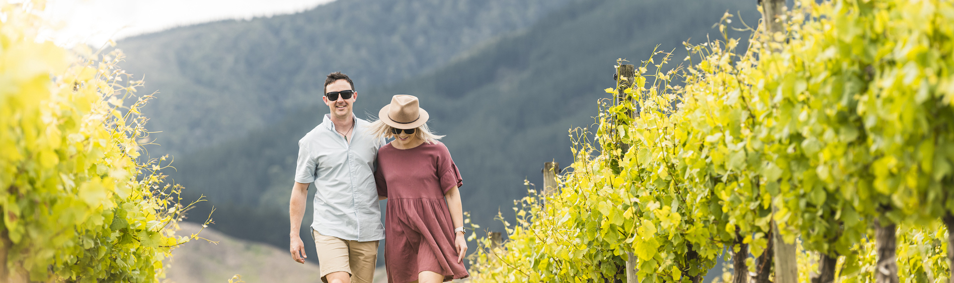 Couple arm in arm walking in a vineyard between rows of grapes as part of wine tours in Marlborough, at the top of New Zealand's South Island