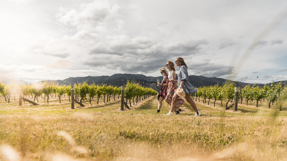 Three women walk through a vineyard with hills in the background as part of a wine tour in Marlborough near Blenheim, at the top of New Zealand's South Island