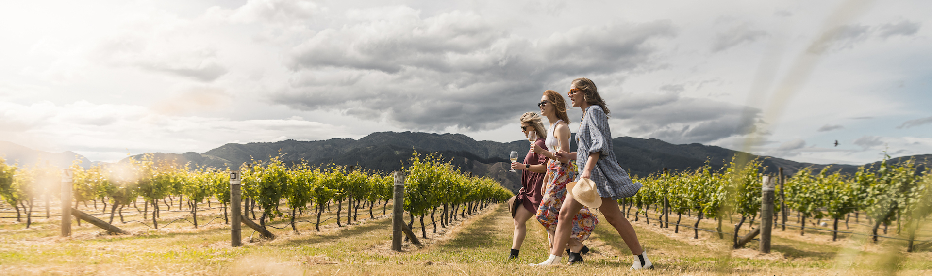 Three women walk through a vineyard with hills in the background as part of a wine tour in Marlborough near Blenheim, at the top of New Zealand's South Island