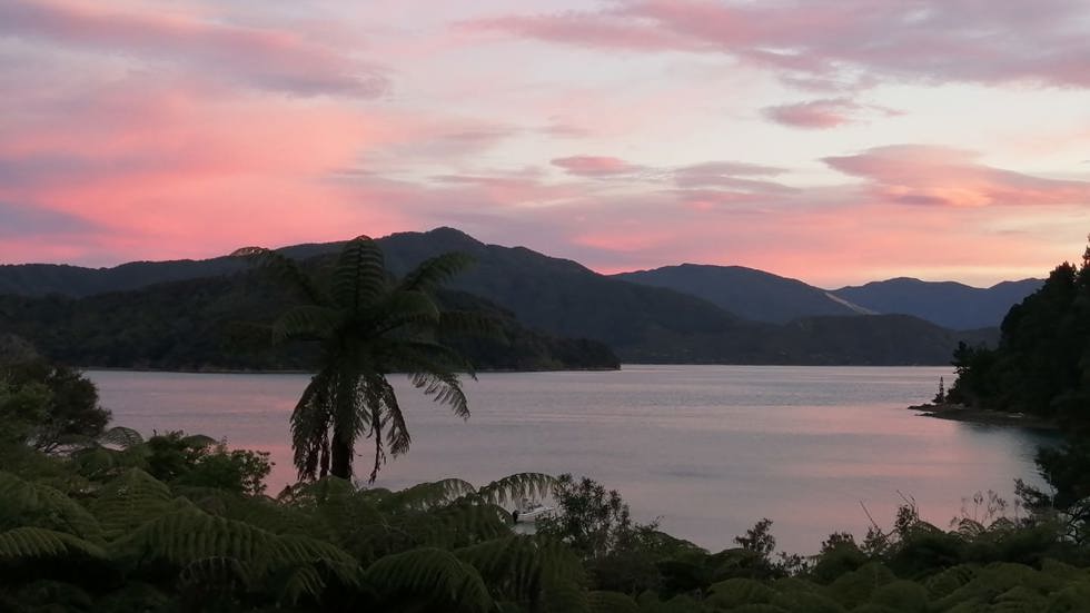 Marlborough Tour Company's MV Spirit hosts the Greenshell Mussel Cruise and cruises the Marlborough Sounds at the top of New Zealand's South Island