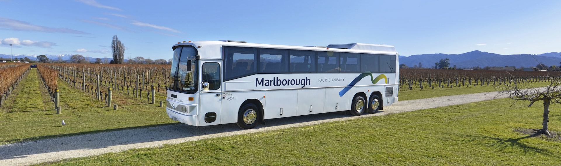 A Marlborough Tour Company coach parked in a vineyard in Blenheim, Marlborough at the top of New Zealand's South Island.