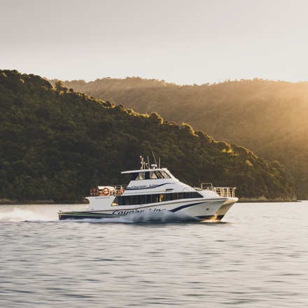 Boat cruises through the Marlborough Sounds at sunset, New Zealand.