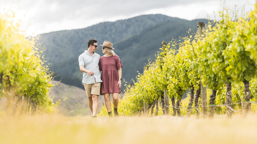 A couple walk arm in arm through a vineyard between rows of grapes on a wine tour in Marlborough near Blenheim, at the top of New Zealand's South Island